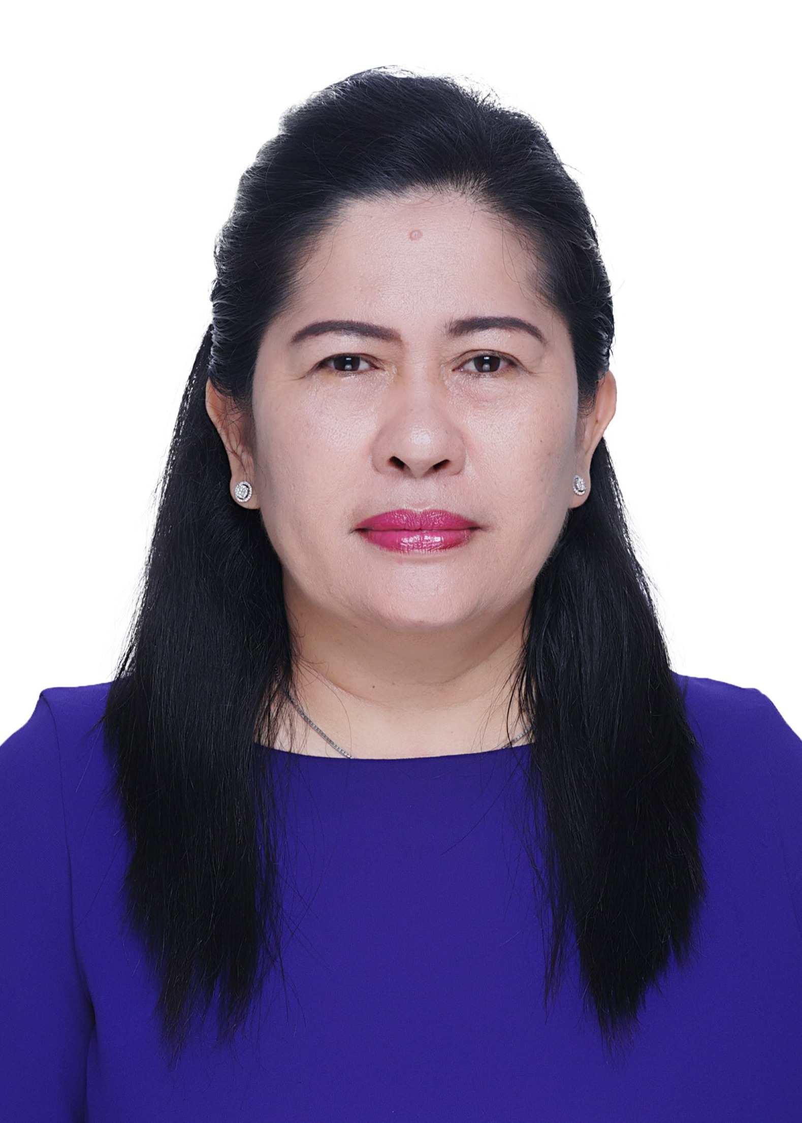 Ir. Meiriani, MP